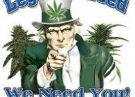 lovlige cannabis utsalg