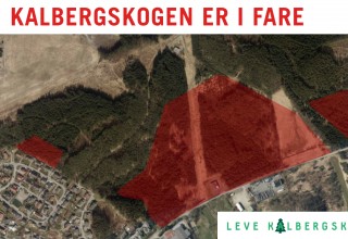 Stopp alle planer om å bygge i Kalbergskogen nå!
