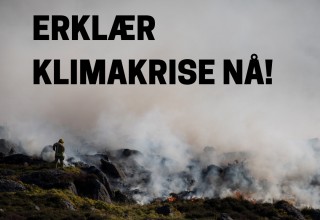 Erklær klimakrise NÅ! Møre og Romsdal