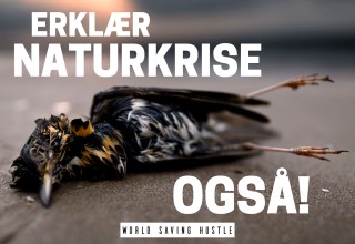 ERKLÆR NATURKRISE OGSÅ! Vest-Agder