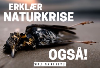 ERKLÆR NATURKRISE OGSÅ! Aust-Agder