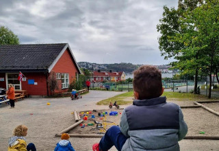 Nei til trefelling i og ved Kampen barnehage (Skedsmogata 19B, 0655 Oslo)