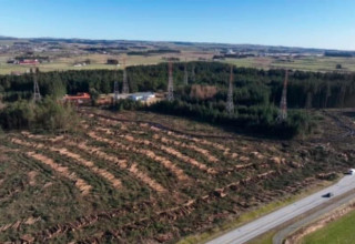 Ein bærekraftig hogst og forvaltning av Vigreskogen