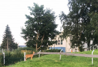 Stopp ny hovedsykkelveg Rotvoll – Grilstad!
